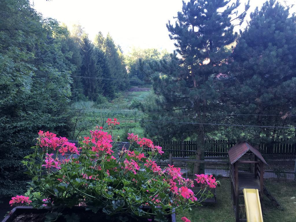 Willa Karolinka Stroza - Pet Friendly Myslenice Exterior photo