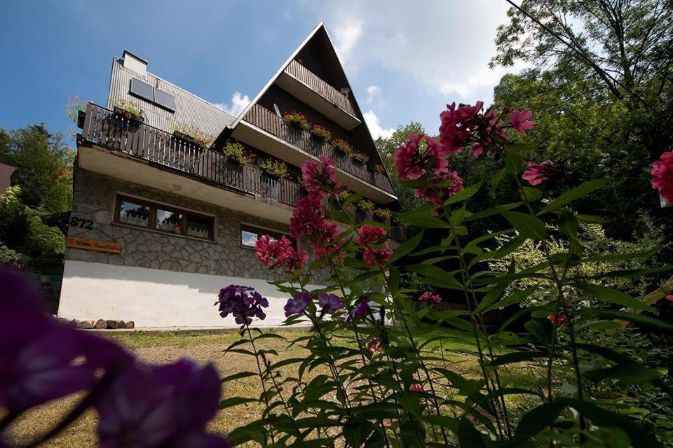 Willa Karolinka Stroza - Pet Friendly Myslenice Exterior photo